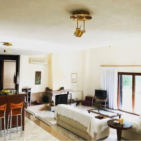 Bright & Spacious Seaview Villa Сиври Экстерьер фото